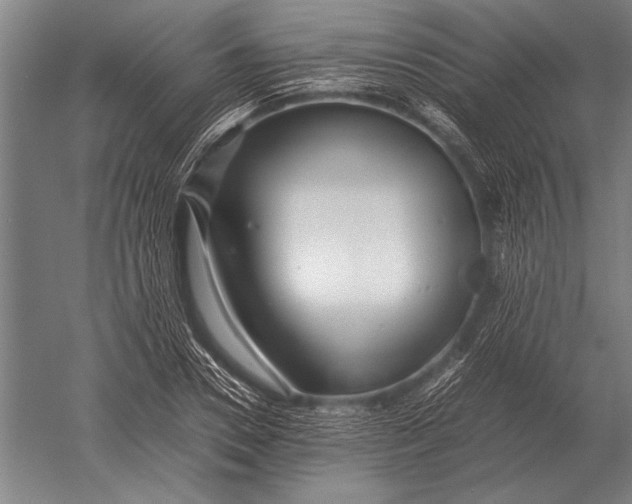 X0000051250930200507082146