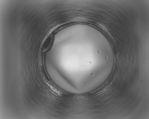 X0000051250931200507082146