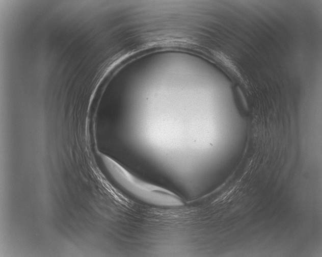 X0000051250932200507082146