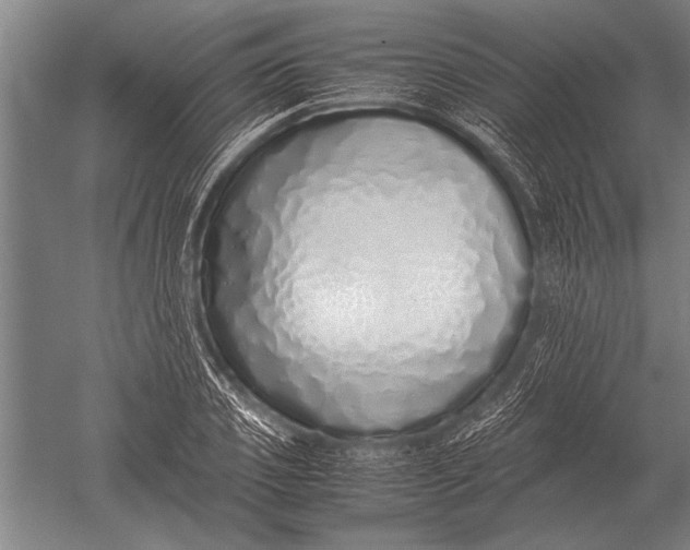 X0000051250933200507082146