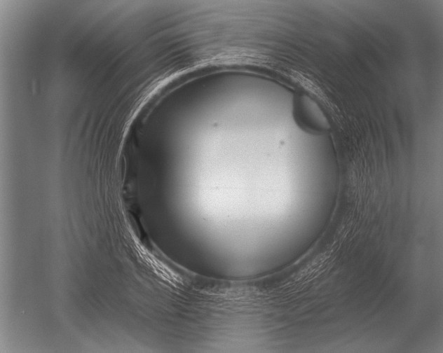 X0000051250934200507082146