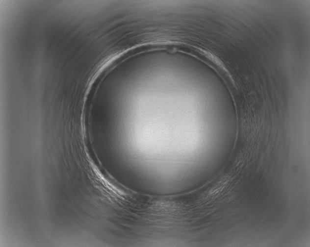 X0000051250935200507082146