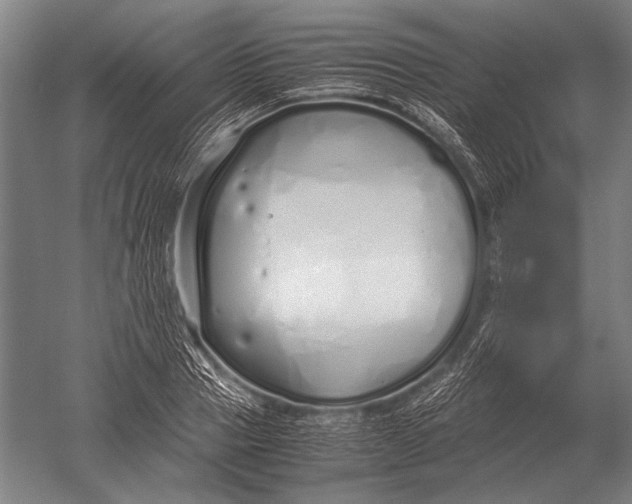 X0000051250937200507082146