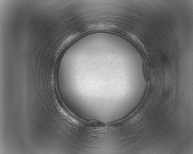 X0000051250938200507082146