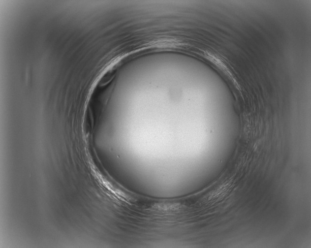 X0000051250939200507082146