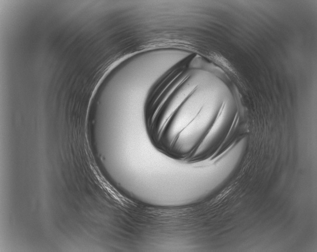 X0000051250940200507082146