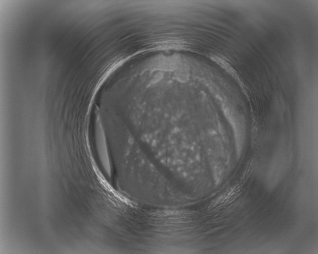 X0000051250941200507082146