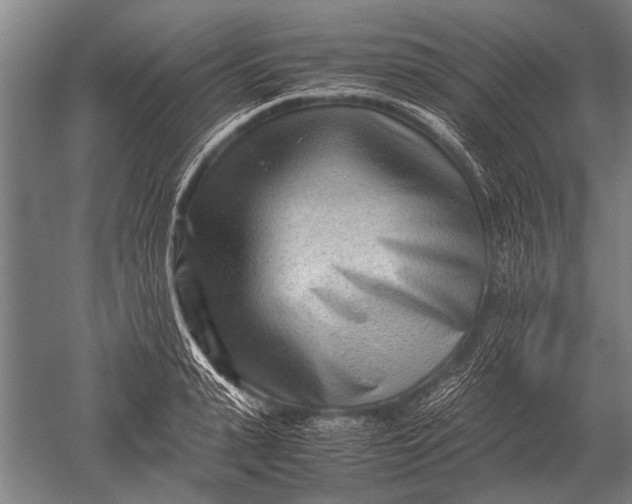 X0000051250943200507082146