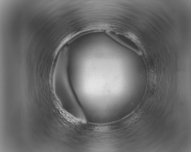 X0000051250944200507082146