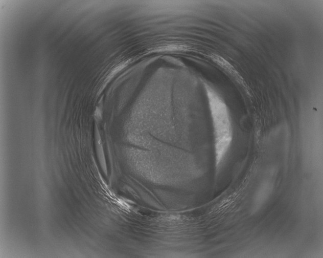 X0000051250945200507082146