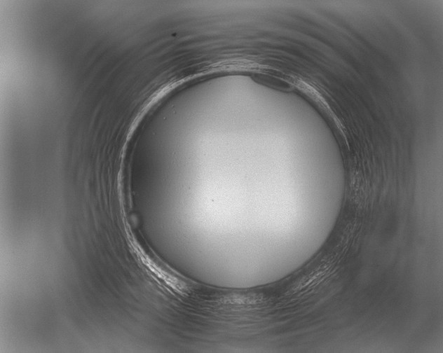 X0000051250947200507082147