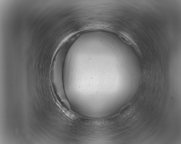 X0000051250948200507082147