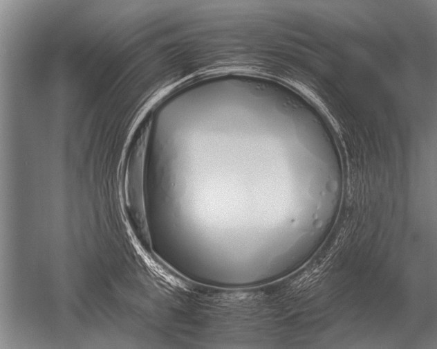 X0000051250949200507082147