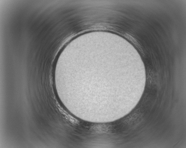 X0000051250950200507082147