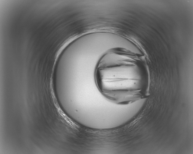 X0000051250952200507082147