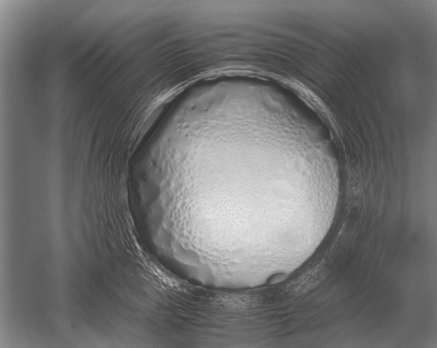 X0000051250953200507082147