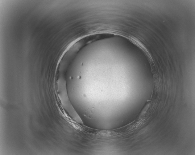 X0000051250956200507082147