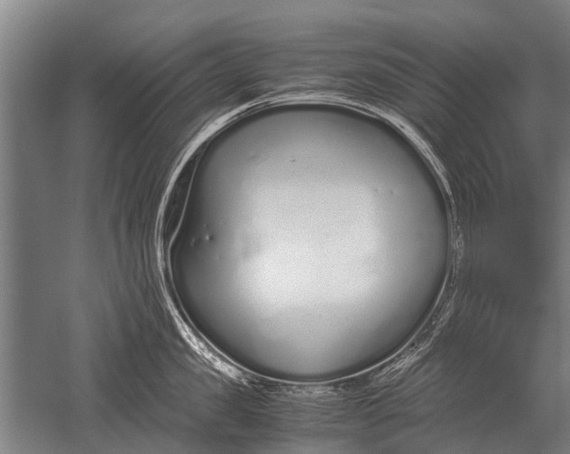 X0000051250957200507082147