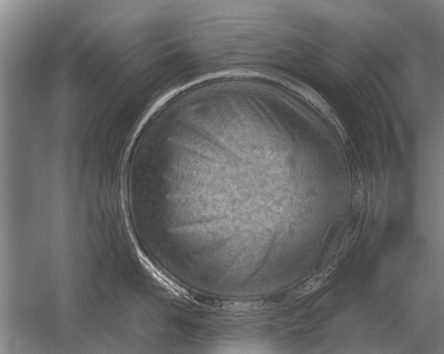 X0000051250958200507082147