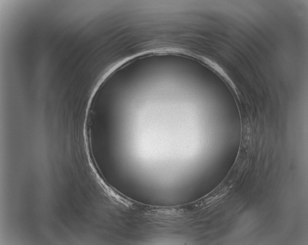 X0000051250959200507082147