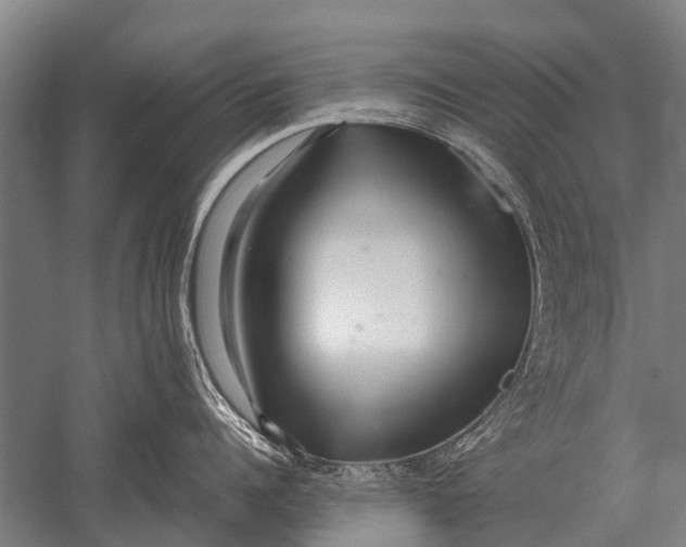 X0000051250960200507082147