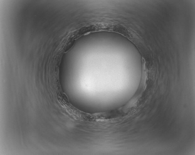 X0000051250961200507082146