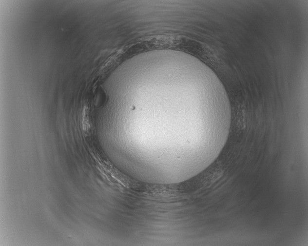 X0000051250962200507082146