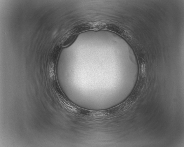 X0000051250963200507082146