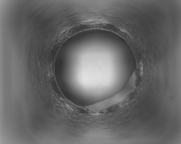 X0000051250965200507082146