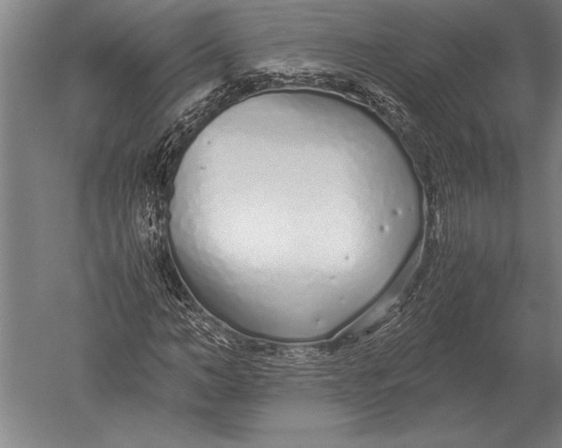 X0000051250966200507082146