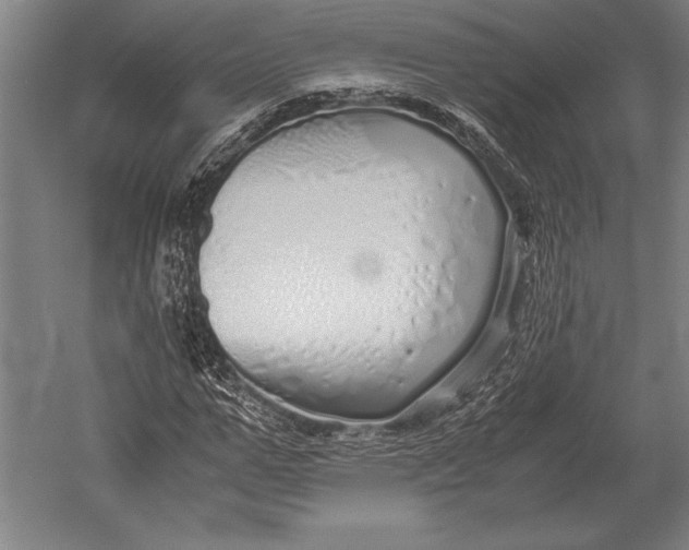 X0000051250967200507082146