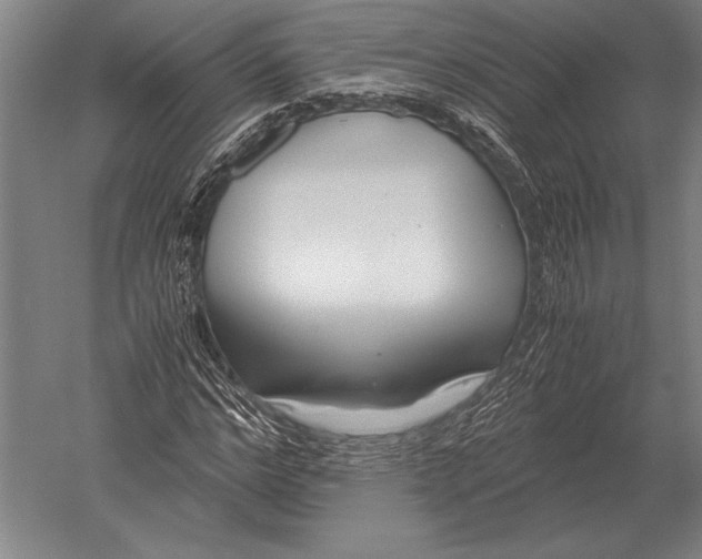 X0000051250968200507082146