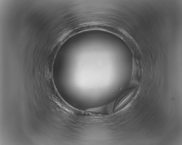 X0000051250969200507082146