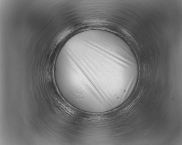 X0000051250970200507082146