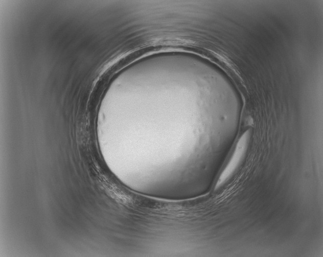 X0000051250971200507082146