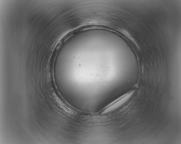 X0000051250972200507082146