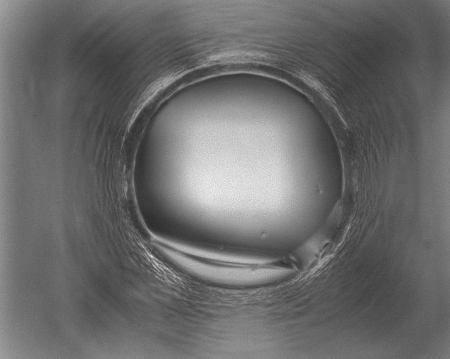 X0000051250973200507082146