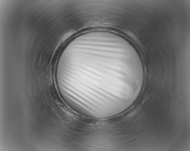 X0000051250974200507082146