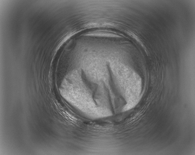 X0000051250975200507082146