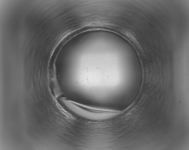 X0000051250976200507082146