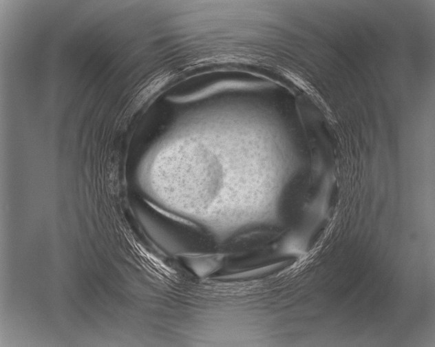 X0000051250977200507082146