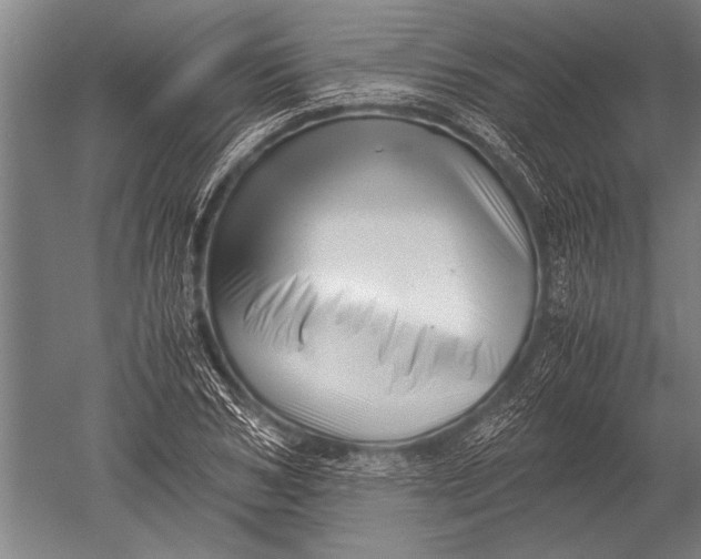 X0000051250978200507082146