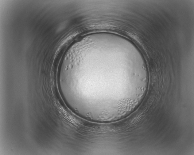 X0000051250979200507082146