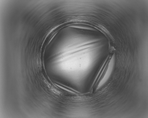 X0000051250980200507082146