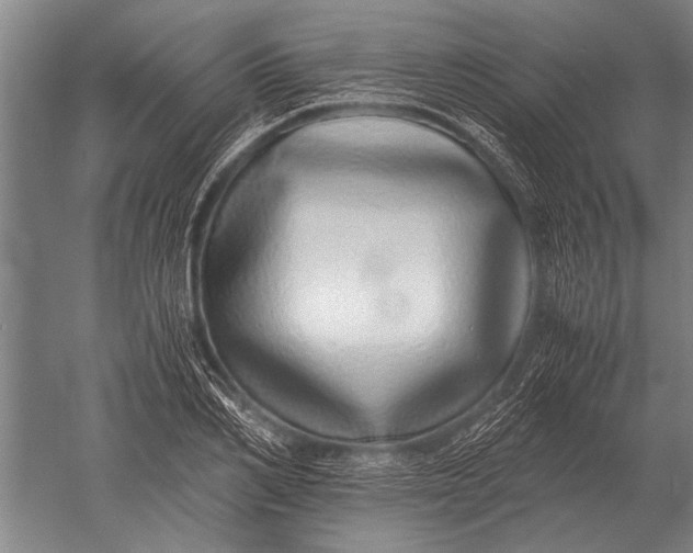 X0000051250982200507082146