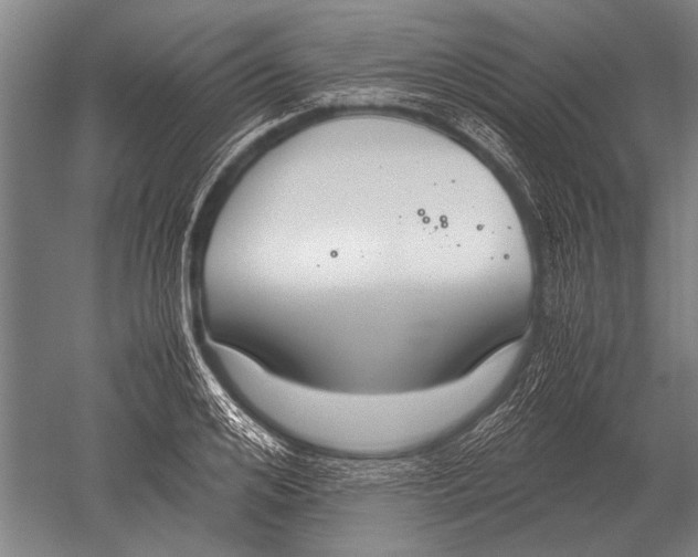 X0000051250984200507082146