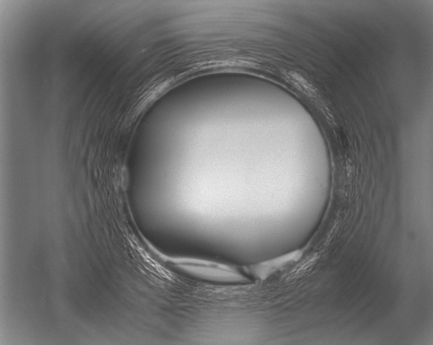 X0000051250985200507082146