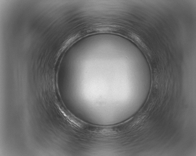 X0000051250986200507082146