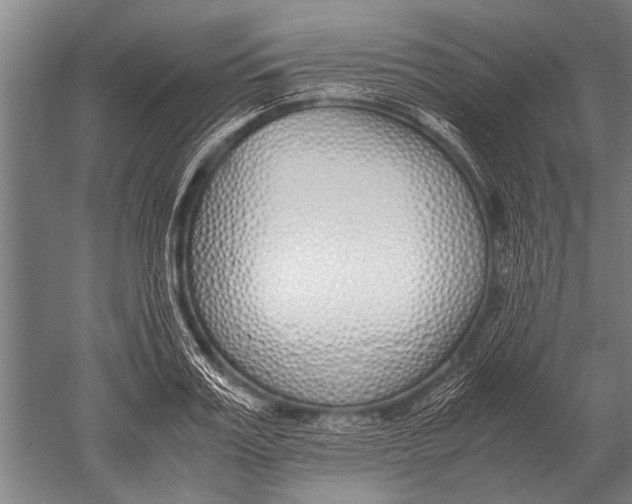 X0000051250987200507082145