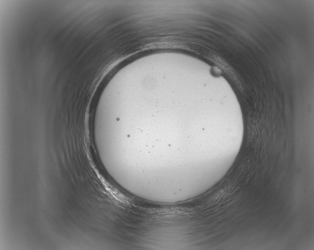 X0000051250988200507082145